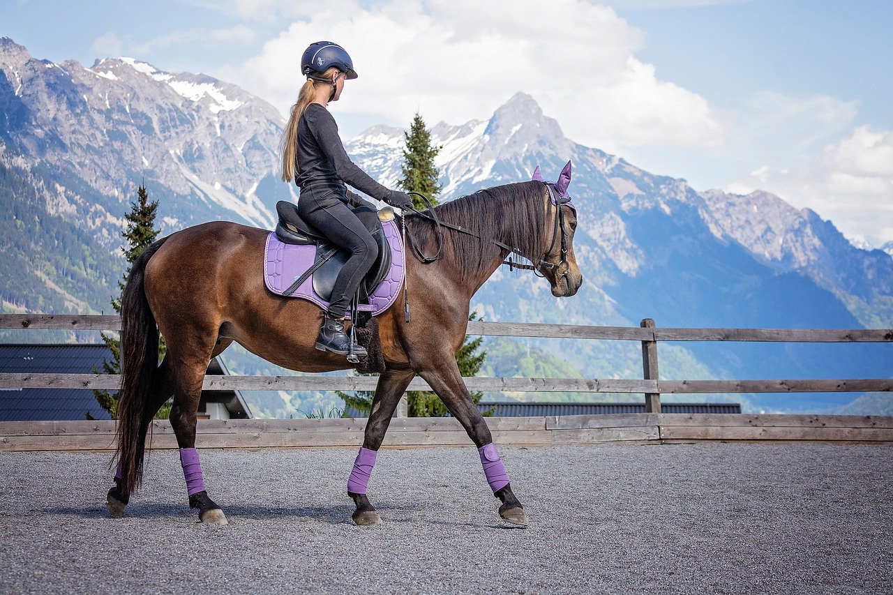 The Ultimate Guide to Horseback Riding in the Rockies